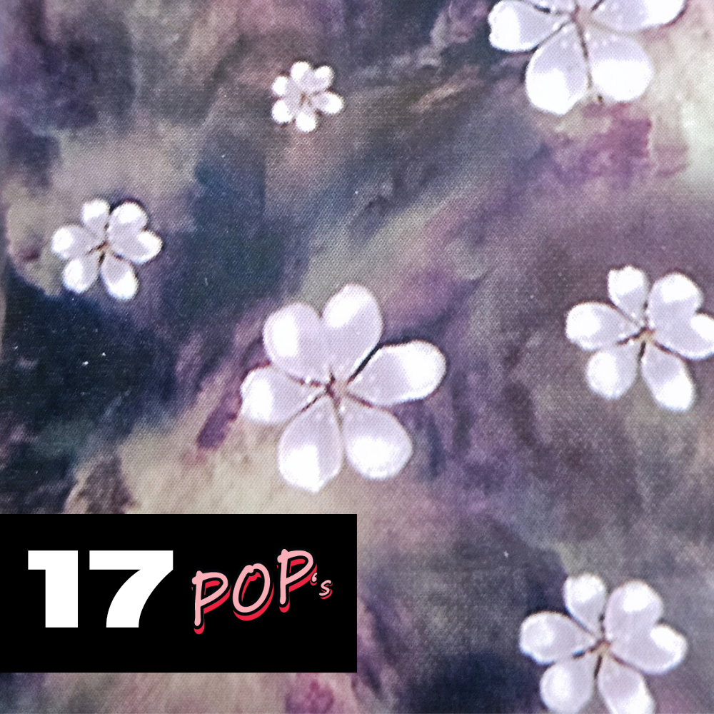 Foil model 17